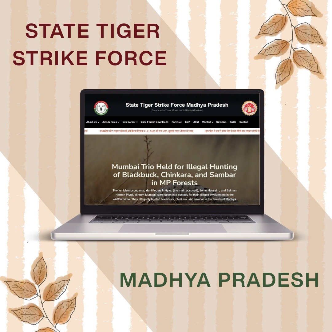 State Tiger Strike Force